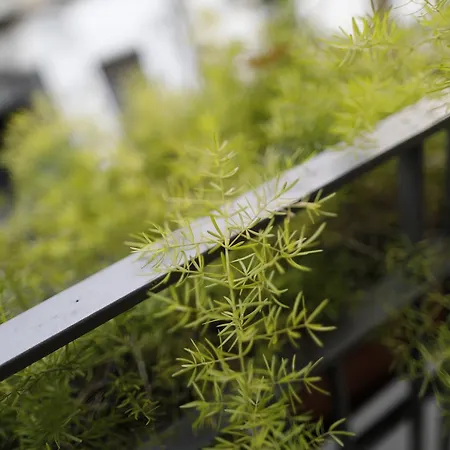 Del Corso Отель типа 