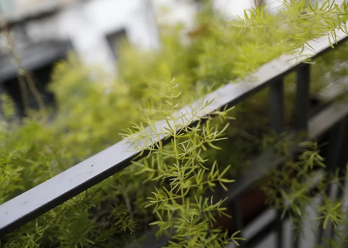 Del Corso Nocleg ze śniadaniem Katania